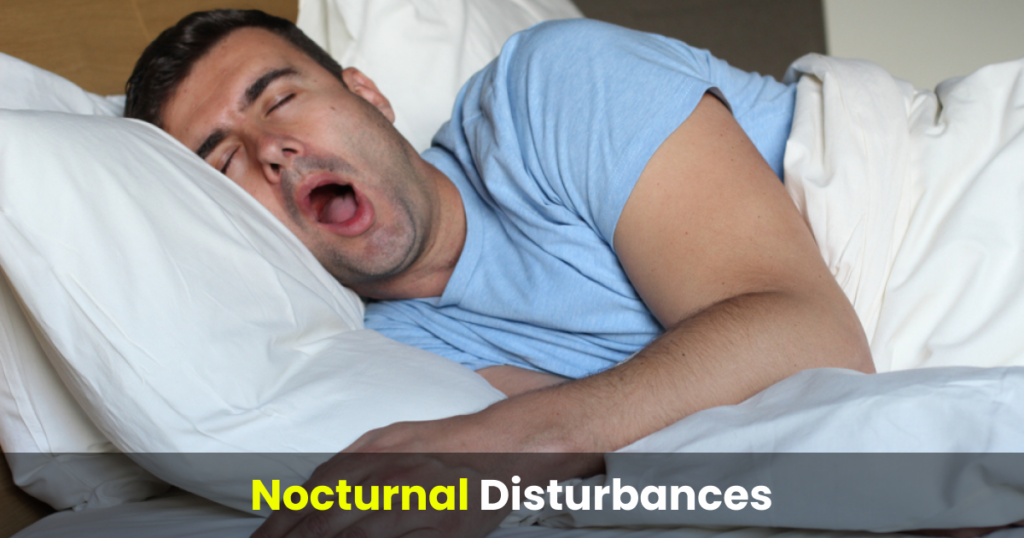 nocturnal disturbances