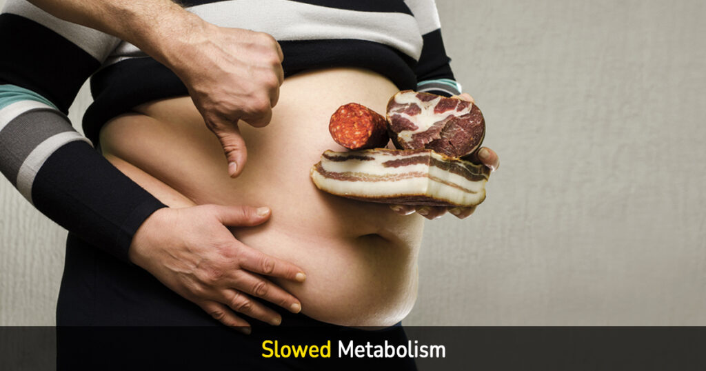 slowed metabolism