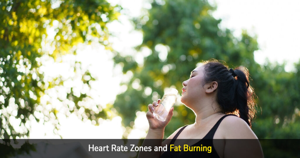 heart rate zones and fat burning