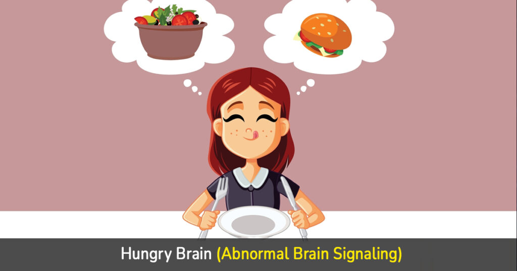 hungry brain (abnormal brain signaling)