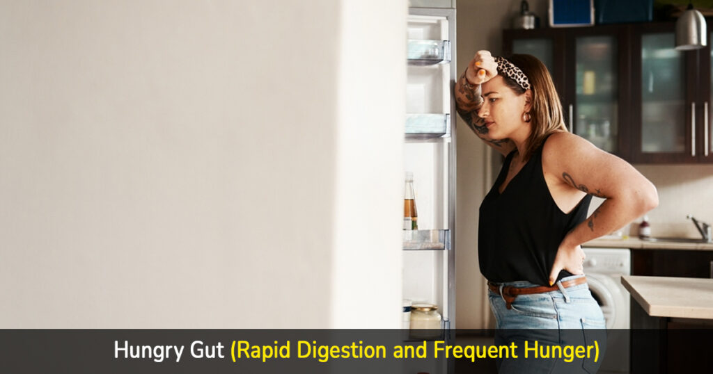 hungry gut (rapid digestion and frequent hunger)
