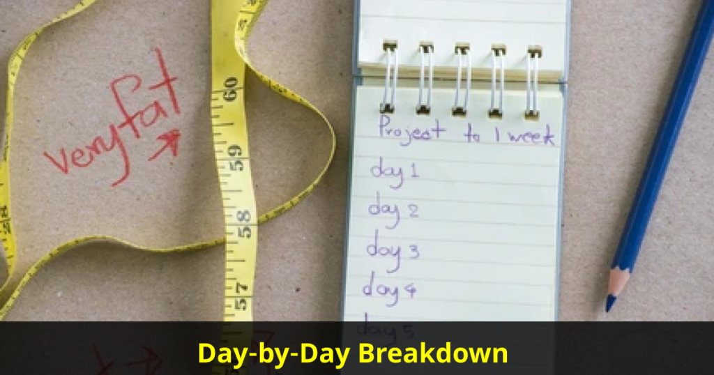 day by day breakdown